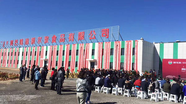 青島簡(jiǎn)化接下額爾敦公司班產(chǎn)100頭牛，3000只羊的屠宰流水線