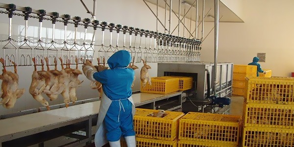 屠宰機械使用過程中應該注意這幾點